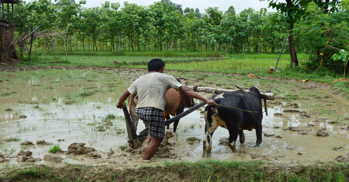 Image of Farmer in Nepal